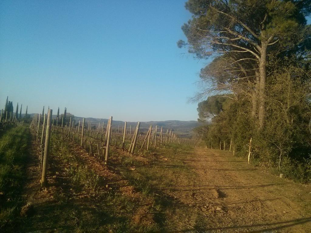 Argiano Dimore Wine Relais エクステリア 写真