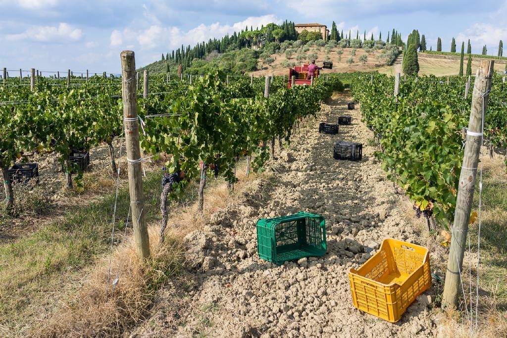 Argiano Dimore Wine Relais エクステリア 写真
