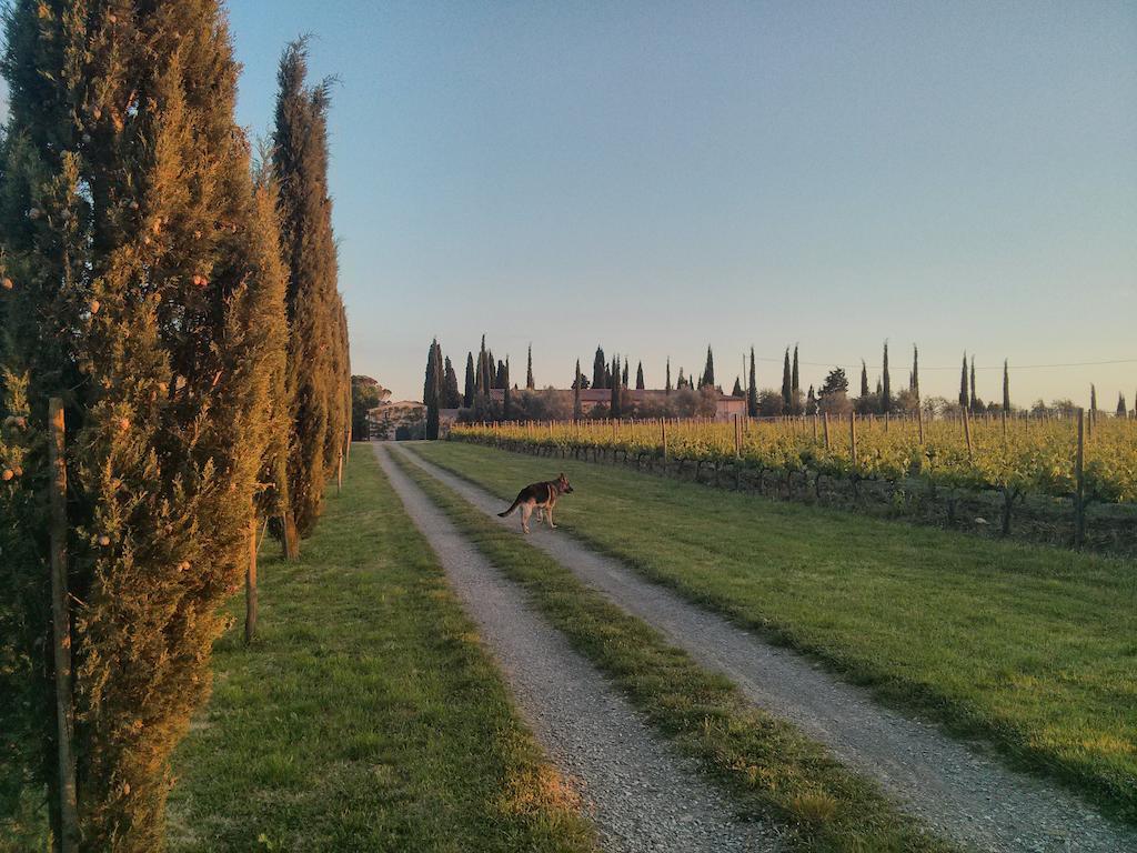 Argiano Dimore Wine Relais エクステリア 写真